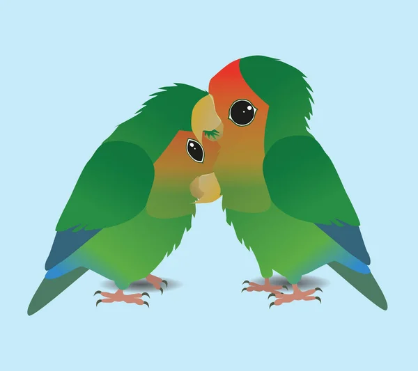 Vector Illustration Two Peach Faced Lovebirds Bird Right Preening Bird — Vettoriale Stock