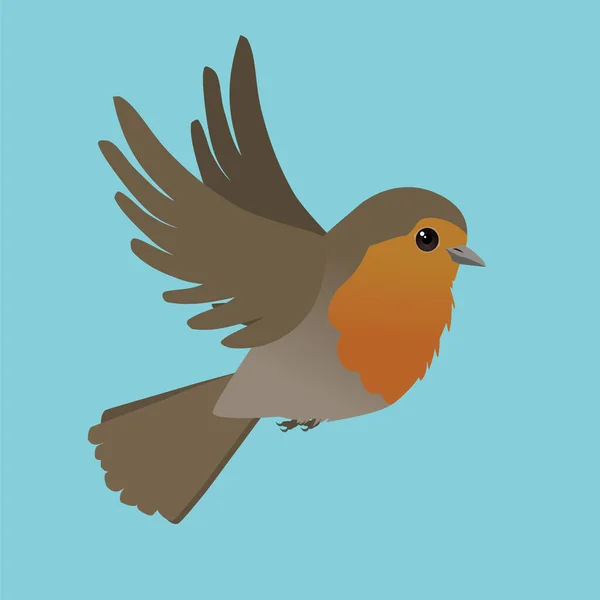 Vector Illustration Flying Robin Light Blue Background His Wings Air —  Vetores de Stock