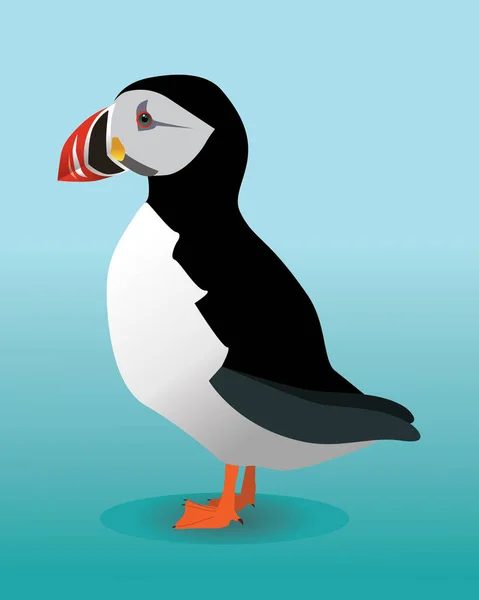 Vector Illustration Puffin Background Blue Bird Looking Left — Vettoriale Stock