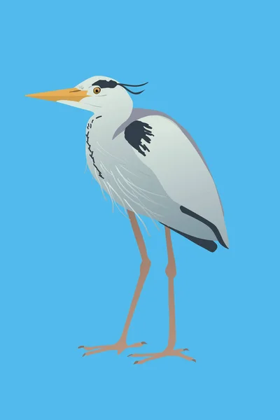 Vector Illustration Grey Heron Bird Standing Relaxed Pose His Neck — Vettoriale Stock