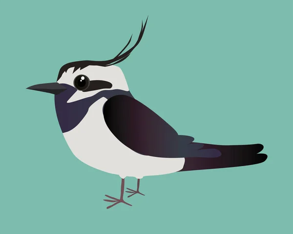 Vector Illustration Very Cute Northern Lapwing You See Bird Side — Διανυσματικό Αρχείο