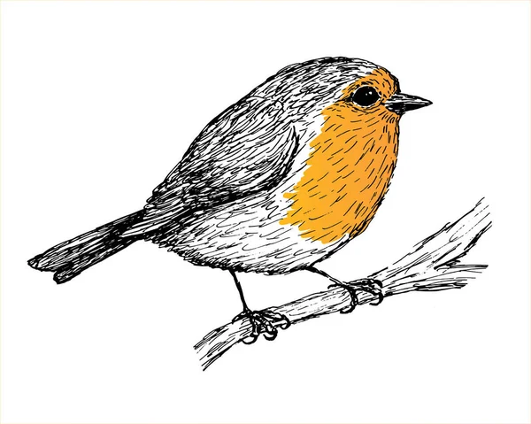 Drawing Black White Orange Part Bird — стоковый вектор