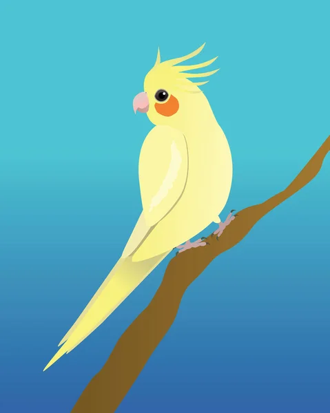 Cockatiel Perched Branch Yellow Bird Background Blue — Stock Vector