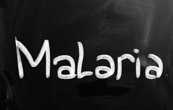 Malaria — Foto de Stock