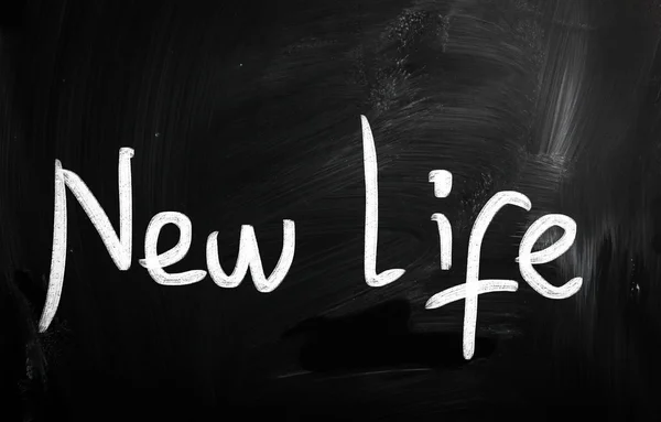 Nova vida — Fotografia de Stock