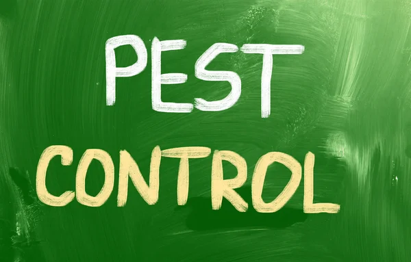 Pest Control Concept — Stock Photo, Image