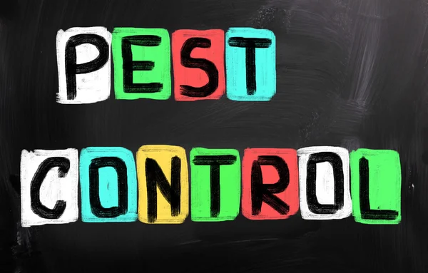 Pest Control Concept — Stock Photo, Image