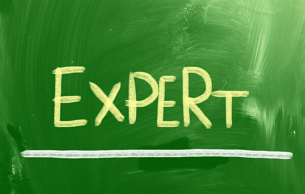 Экспертиза
