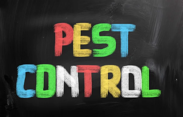 Pest Control Concept — Stock Photo, Image