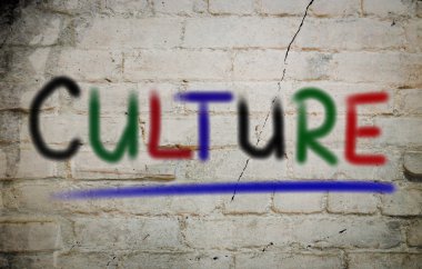 Kültür Konsepti