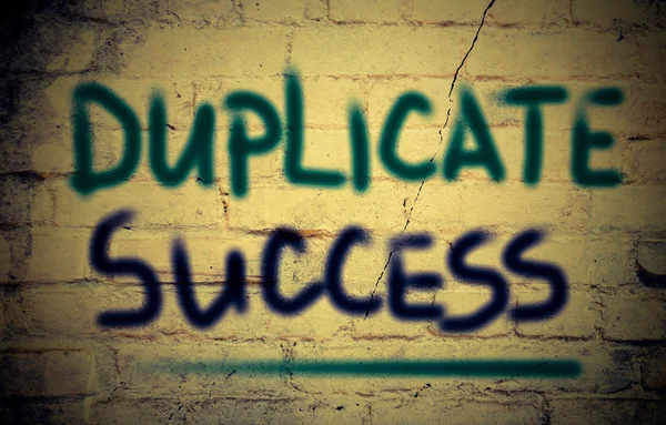 Duplicate Success Concept — Stock Photo, Image