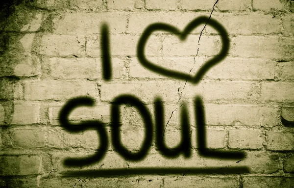 I Love Soul Concept — Stock Photo, Image