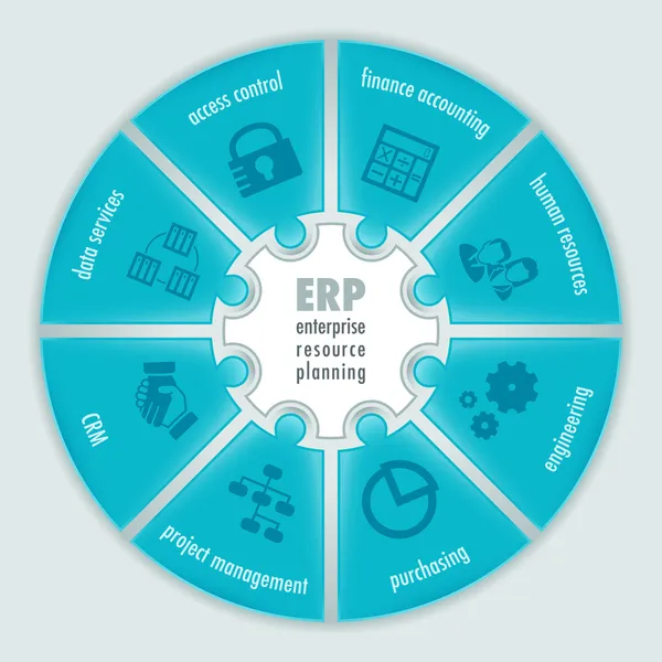 Infografías de planificación de recursos empresariales — Vector de stock