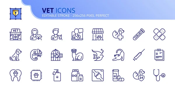 Décrivez Des Icônes Sur Vétérinaire Contient Des Icônes Telles Que Graphismes Vectoriels