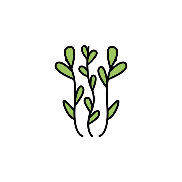 Seaweed Line Icon Signs Symbols Can Used Web Logo Mobile — Stockový vektor