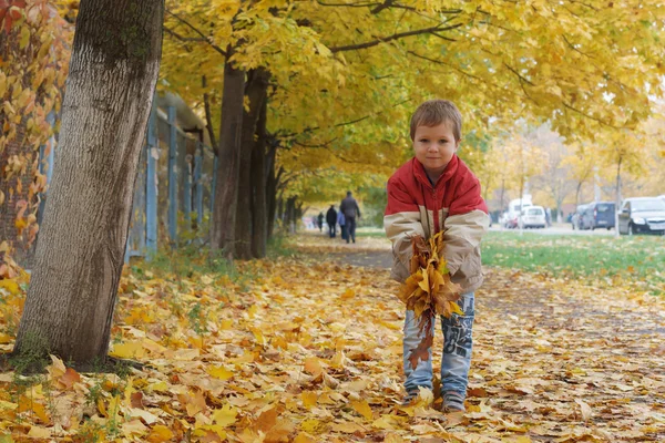 Sarı yaprakları ile çocuk