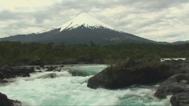 Río en la Patagonia — Vídeos de Stock
