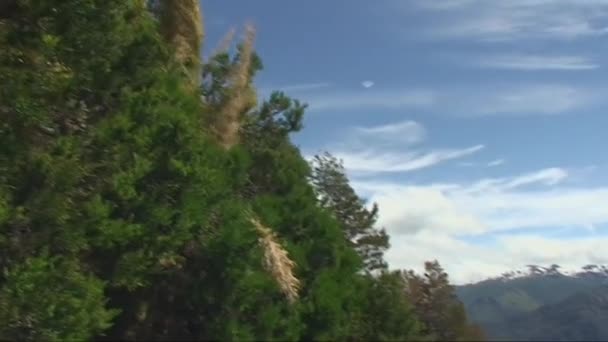 Schöne Landschaft Patagoniens — Stockvideo