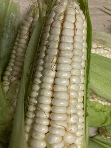 Fresh Cub Corn Big Grains Jogdíjmentes Stock Képek