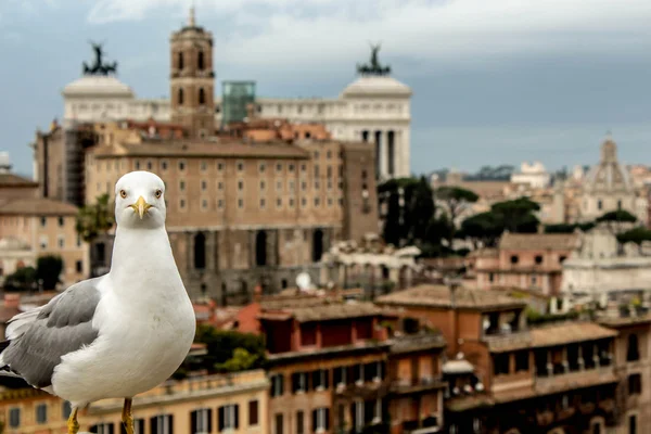 Rome — Stockfoto