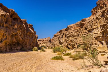 renkli Kanyon manzarası