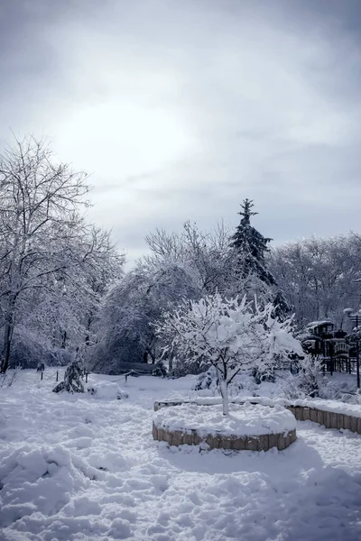 Kar boş parkı kapladı 