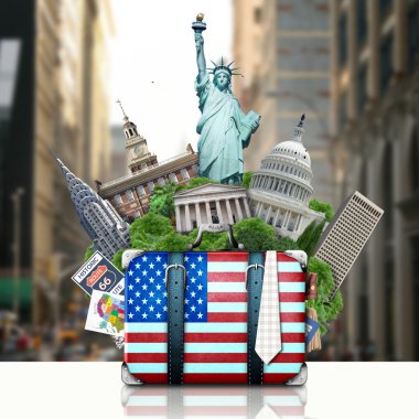 USA, landmarks USA, suitcase and New York