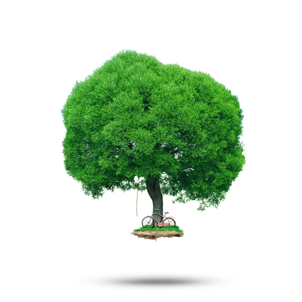 Großer grüner Baum — Stockfoto