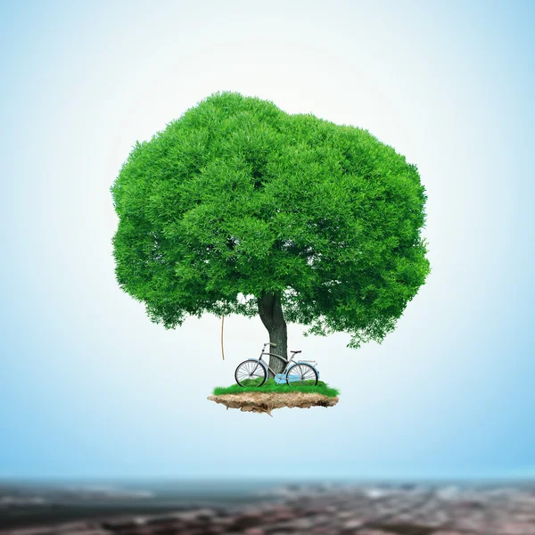 Grande árvore verde — Fotografia de Stock