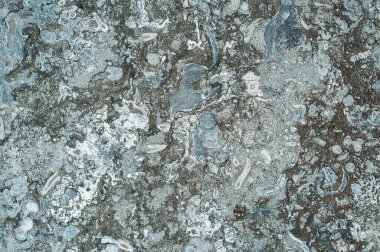 Doğal desenli beyaz çimento mermer dokusu. Soyut arkaplan.