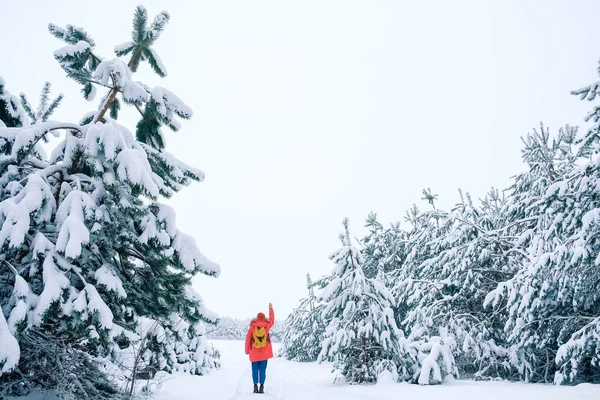 Mujer con una chaqueta y sombrero rojo cálido sobre un fondo de bosque nevado — Foto de Stock