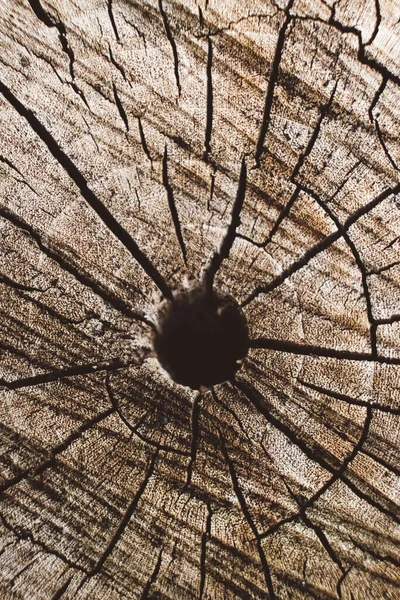 Дерево кільця старої вивітреної текстури деревини з поперечним перерізом зрубу — стокове фото