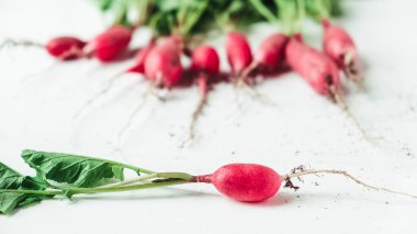 Beyaz ahşap arka planda taze turplar..