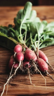 Tahta kırsal arka planda taze turplar sebze hasadı..