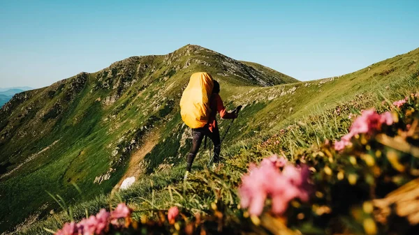 Woman Tourist Walking Hiking Trail Backpack Background Green Mountains Sky — Zdjęcie stockowe