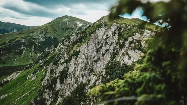 Beautiful Mountain Landscape Carpathians Green Mountains Shpytsi Cliffs Stockfoto