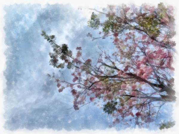 Grote Boom Met Roze Bloemen Aquarel Stijl Illustratie Impressionistische Schilderij — Stockfoto