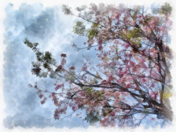 Grote Boom Met Roze Bloemen Aquarel Stijl Illustratie Impressionistische Schilderij — Stockfoto