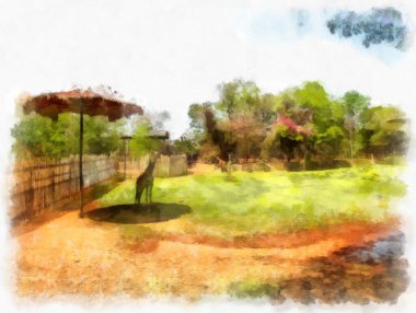 suluboya resim çizen zürafa..