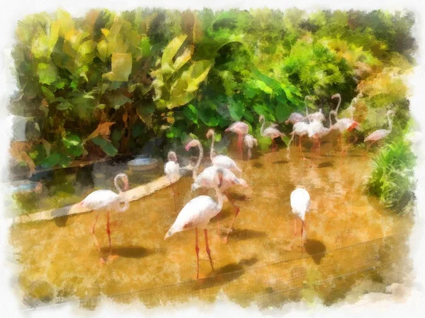 池塘水彩画中的火烈鸟群 印象派绘画 — 图库照片