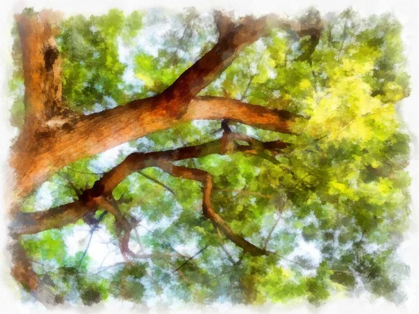 Árvore Grande Galhos Aquarela Estilo Ilustração Impressionista Pintura — Fotografia de Stock