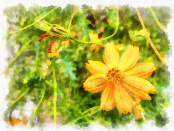Gelbe Starburst Blumen Aquarell Stil Illustration Impressionistische Malerei — Stockfoto