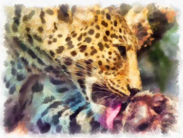 Leopardo Diverse Pose Acquerello Stile Illustrazione Impressionista Pittura — Foto Stock