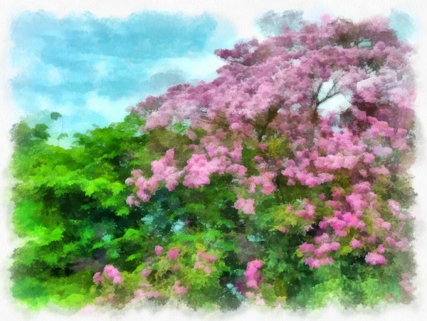 Big Tree Pink Flowers Watercolor Style Illustration Impressionist Painting — Stock Photo, Image