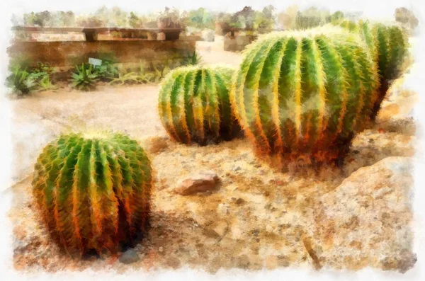 Grand Cactus Rond Aquarelle Style Illustration Peinture Impressionniste — Photo