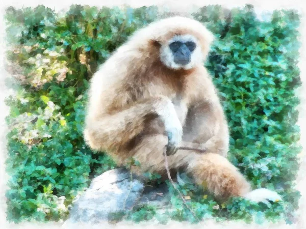 Gibbon Aquarel Stijl Illustratie Impressionistische Schilderij — Stockfoto