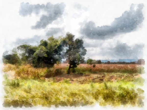 Landscape Grassland Sky Watercolor Style Illustration Impressionist Painting — Stock Photo, Image