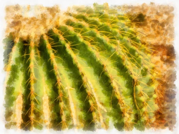 Illustration Style Aquarelle Cactus Peinture Impressionniste — Photo