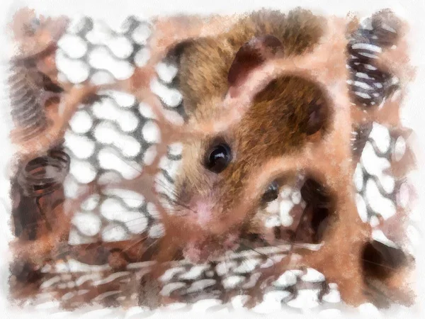 Ratte Einer Mausefalle Aquarell Stil Illustration Impressionistische Malerei — Stockfoto