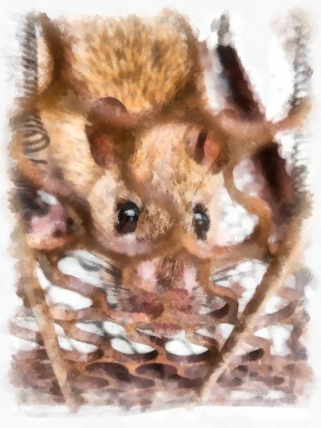 Rat Dans Piège Souris Aquarelle Style Illustration Peinture Impressionniste — Photo